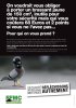 ffmc-brassard-pigeon-page-001.jpg
